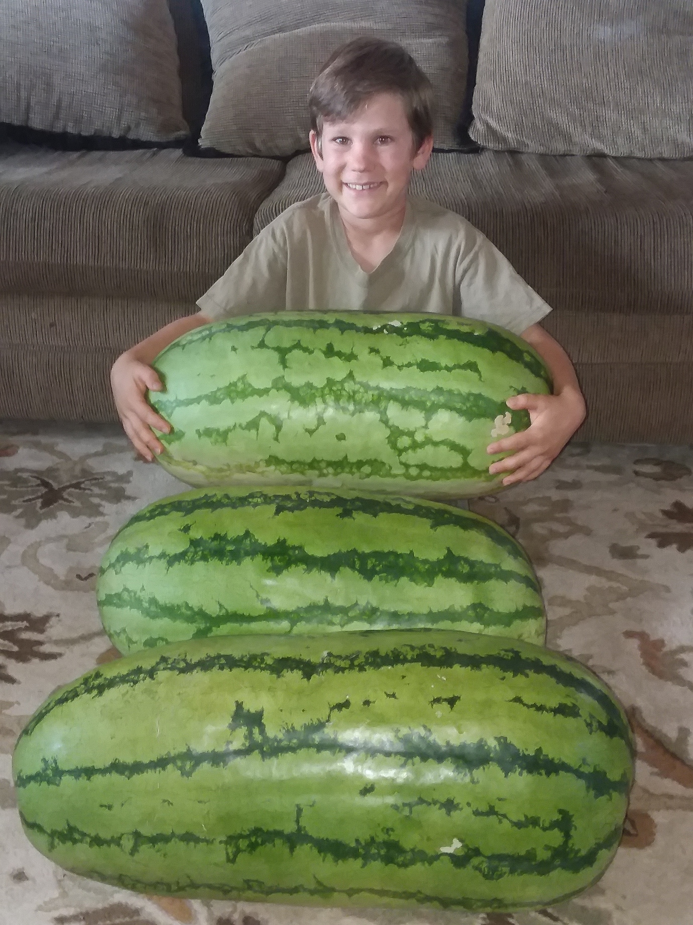 A few Rattlesnake watermelons Pictures! Growing Fruit