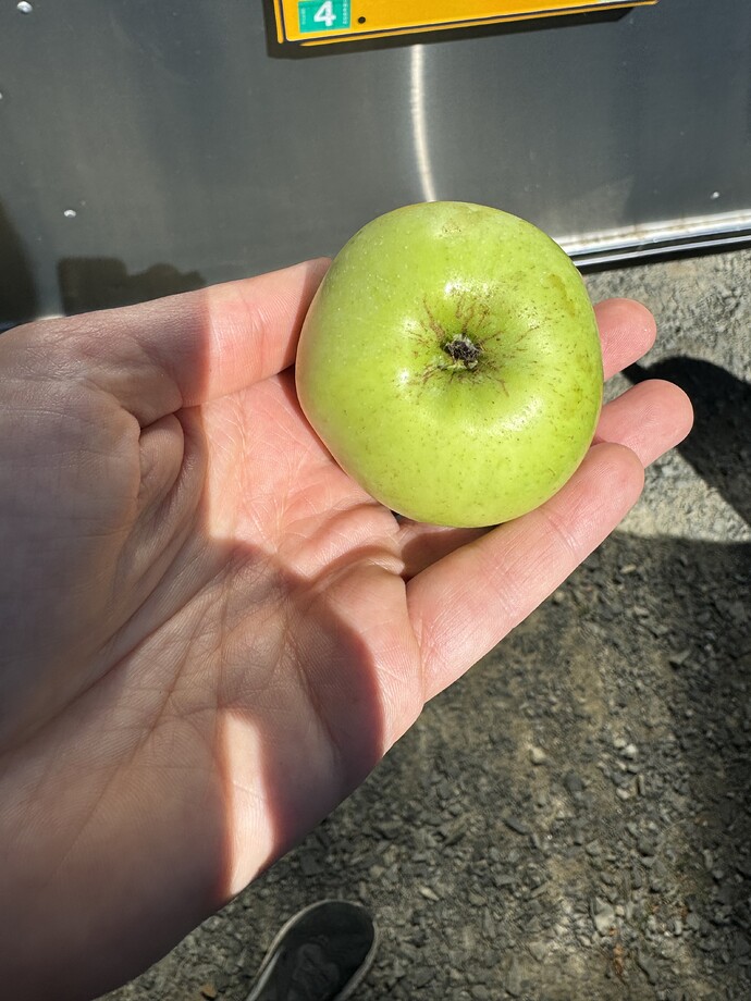 IMG_8627