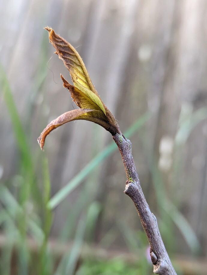 PXL_20240603_155306358