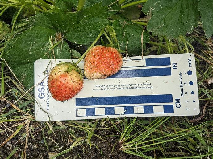 PXL_20220610_203656222