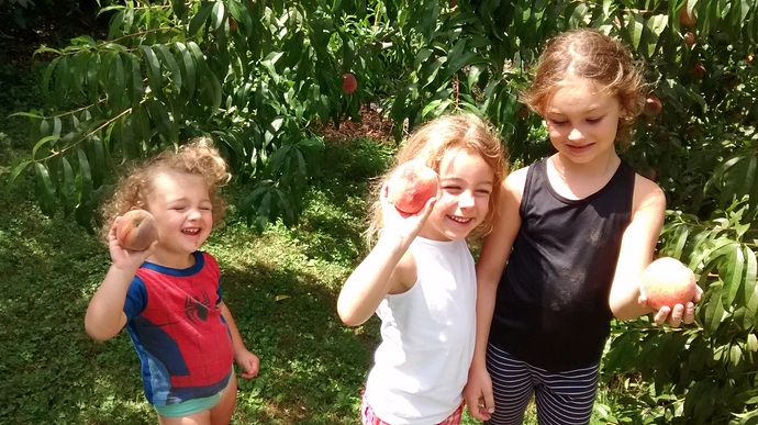 IMG_20180729_115758823