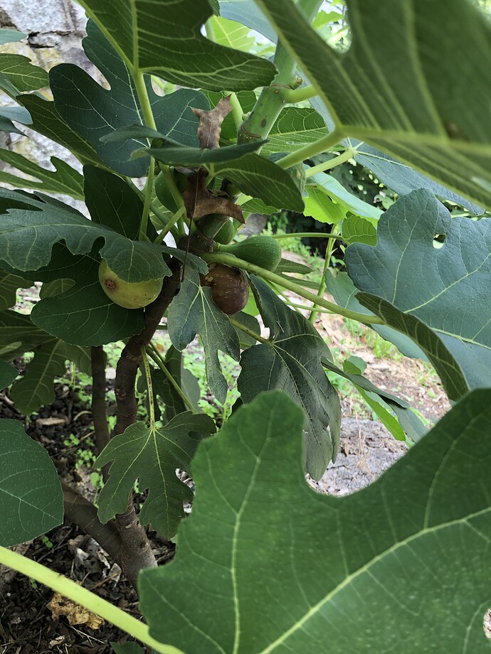 Reservoir_fig_close_ss_09-011-2021