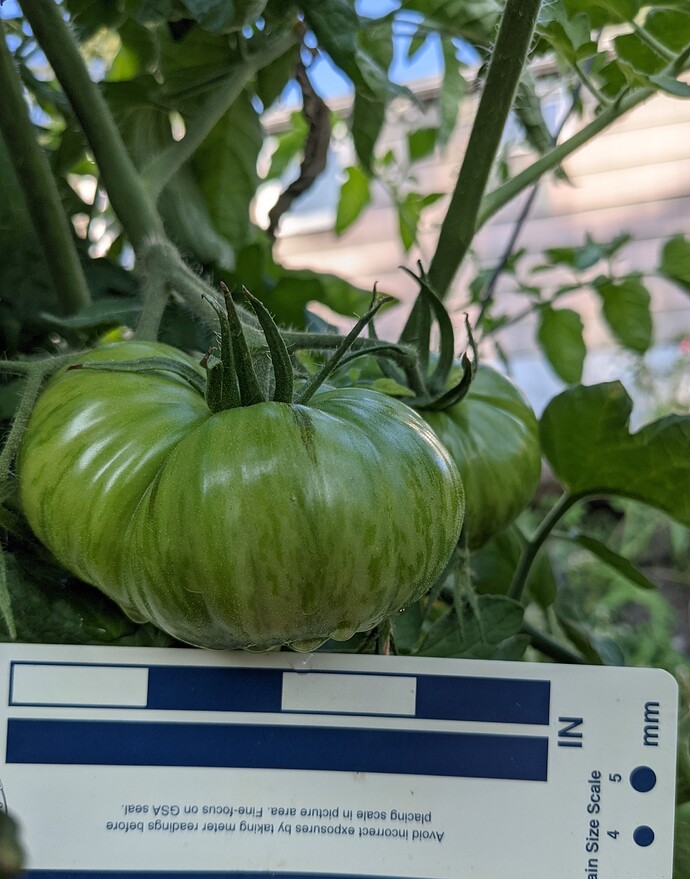 PXL_20210820_004453499