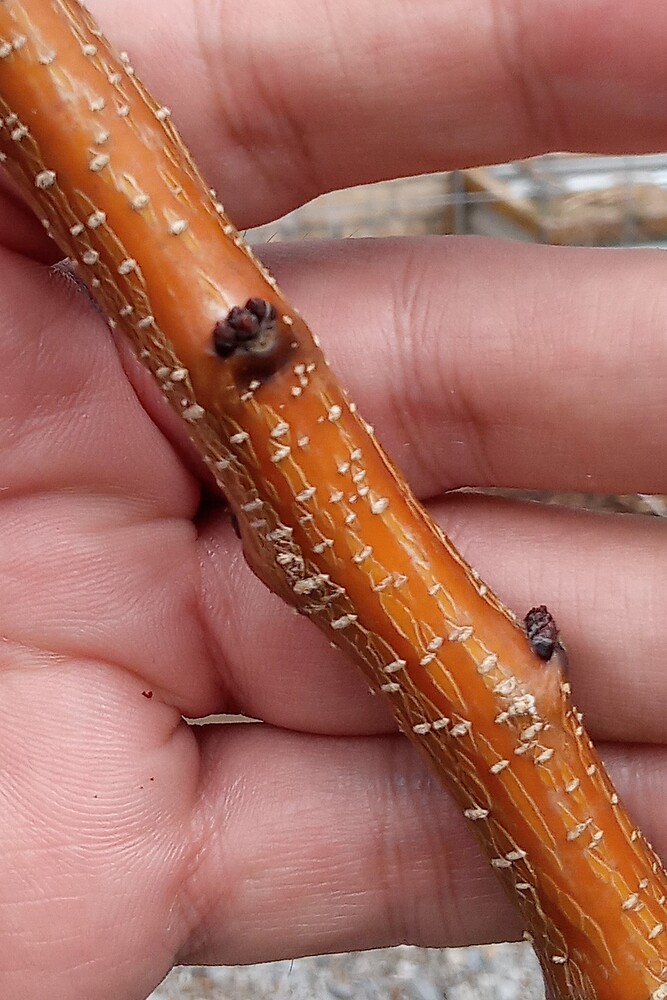 IMG_20231005_115747~2