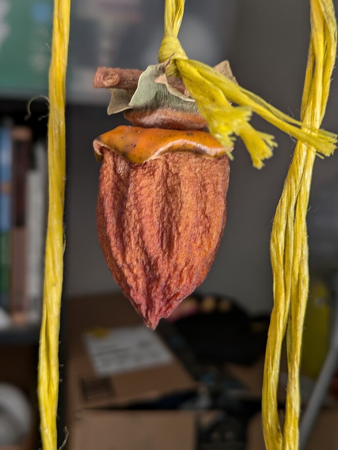 PXL_20241019_193926172.PORTRAIT