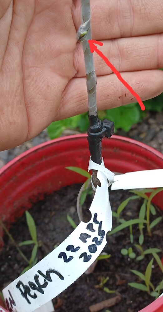 Screenshot_20250505_121418_Gallery