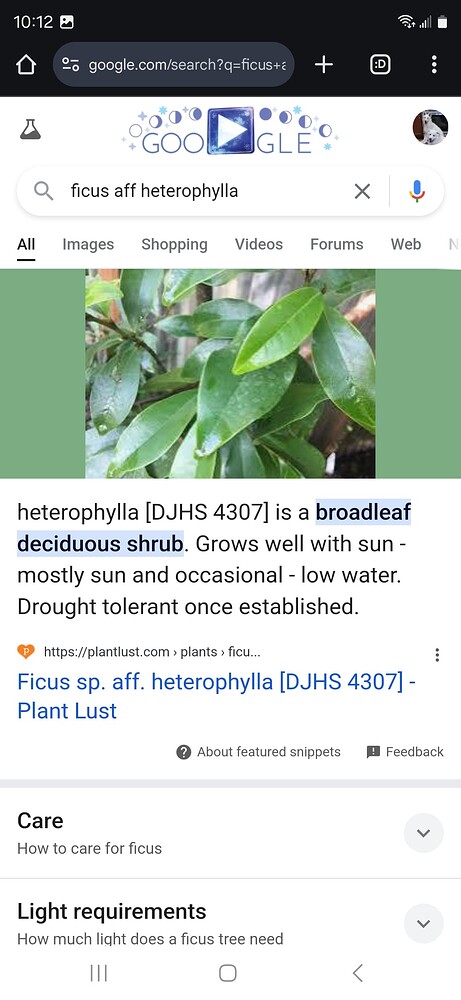 Screenshot_20241024_101236_Chrome