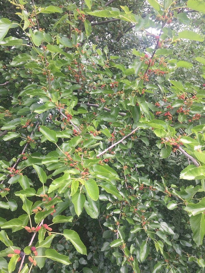 59DB91BE-D3DD-4383-9A30-D90C7BDD7EBA