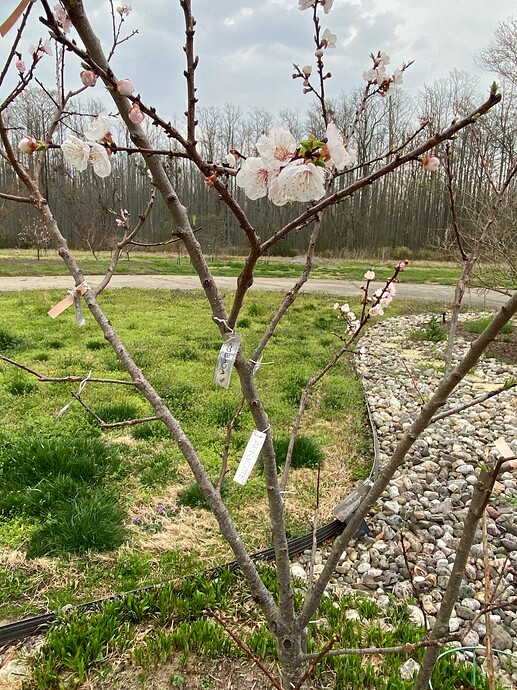 482C0B8E-D0FE-4060-9F3C-00B360B721FE