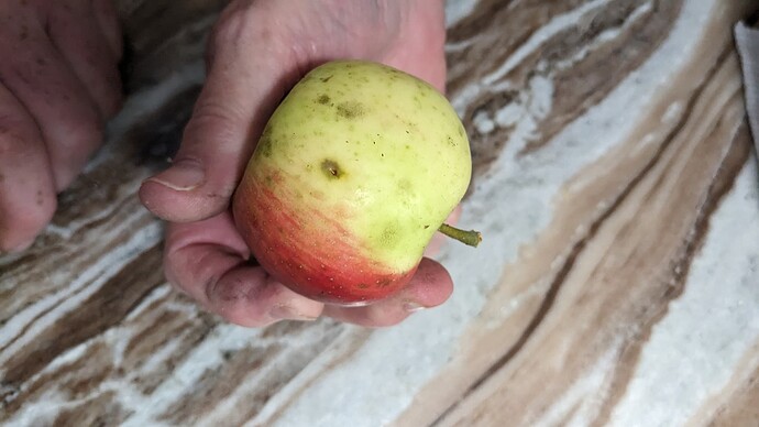 PXL_20230910_214328576