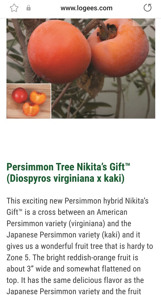 Screenshot_20240113_070805_Samsung Internet