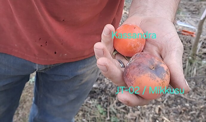 Screenshot_20241021_181455_Gallery