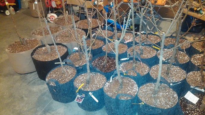 abf743e915634a0f6435638fd69985bb2e9ecade