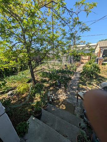PXL_20250608_215133732