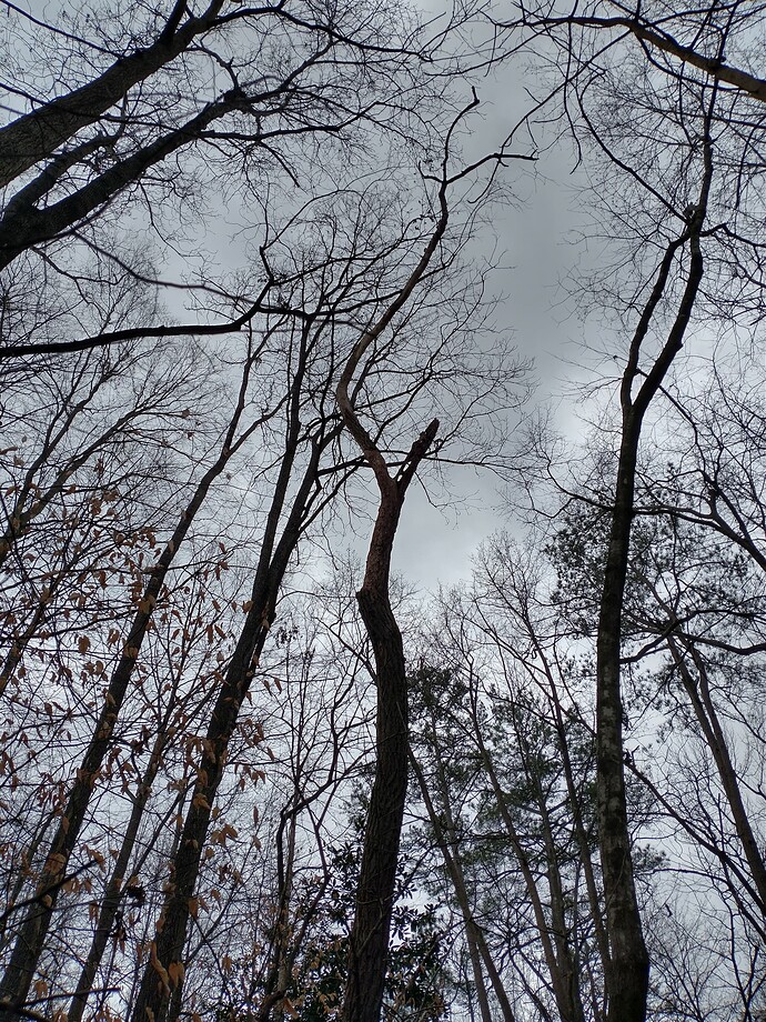 IMG_20240228_102441259_HDR