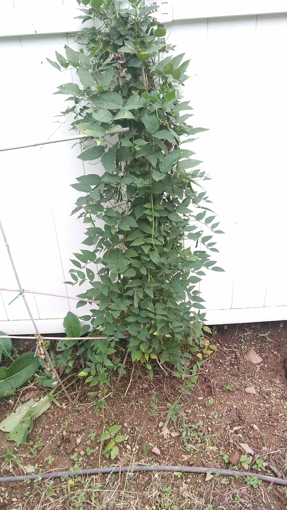 WP_20180920_13_25_04_Pro