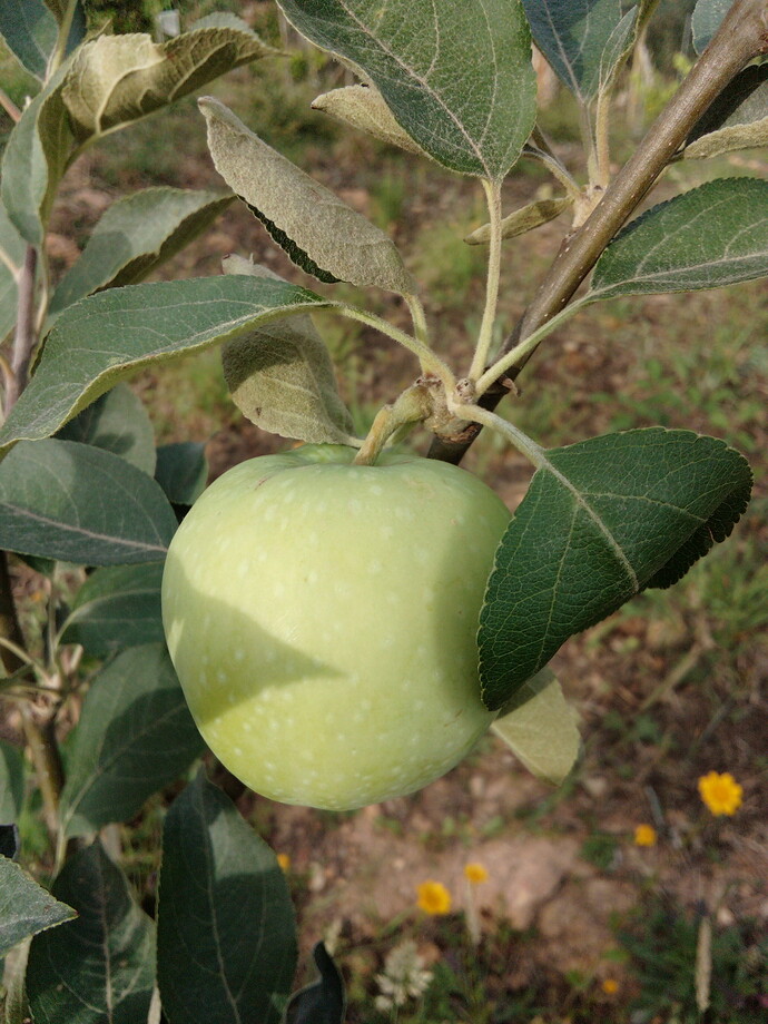 IMG_20220617_190637_1