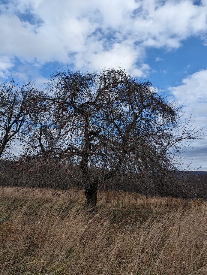 PXL_20231109_164846630.MP