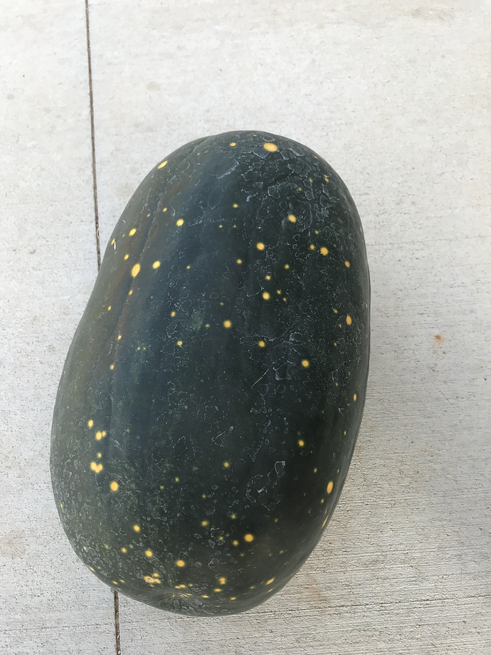 22253F57-6DB7-4529-B3A9-C6027C941D58