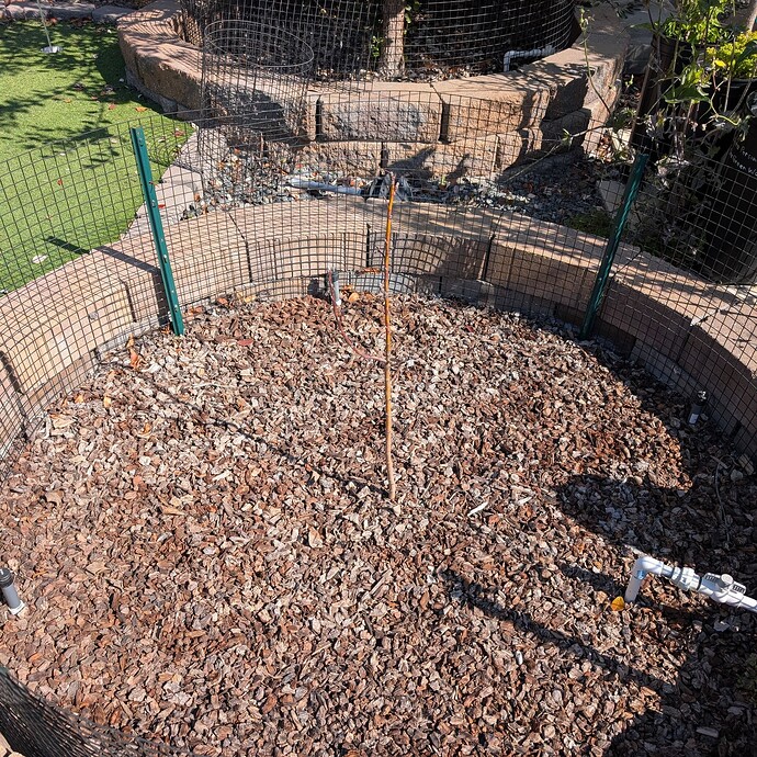 PXL_20250420_164344701