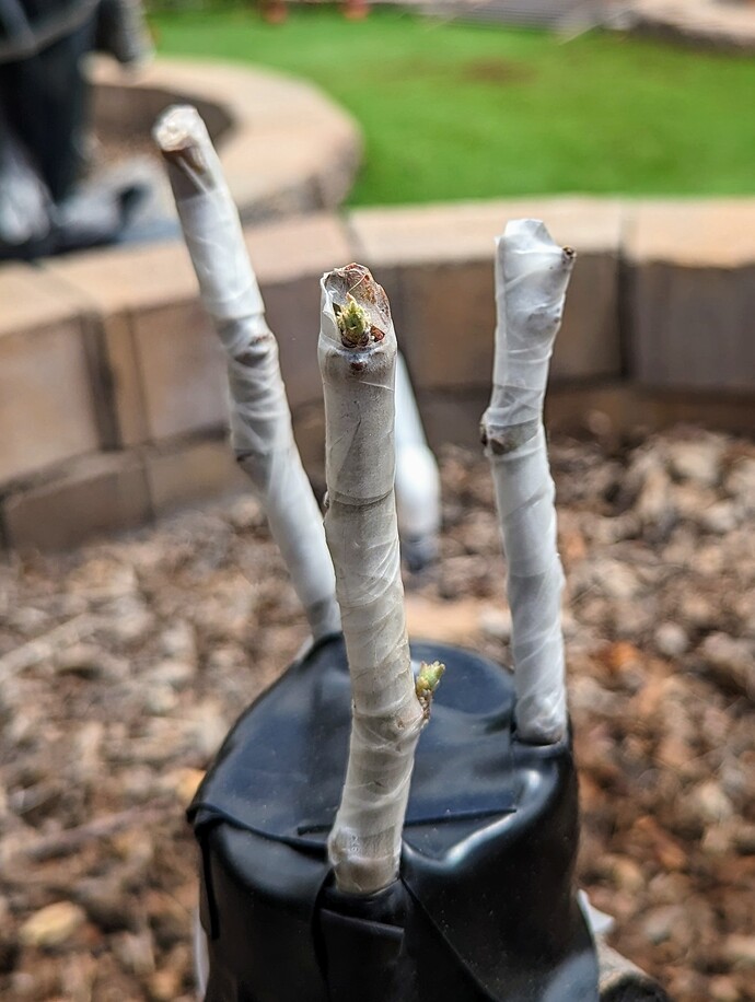 PXL_20230501_202909634