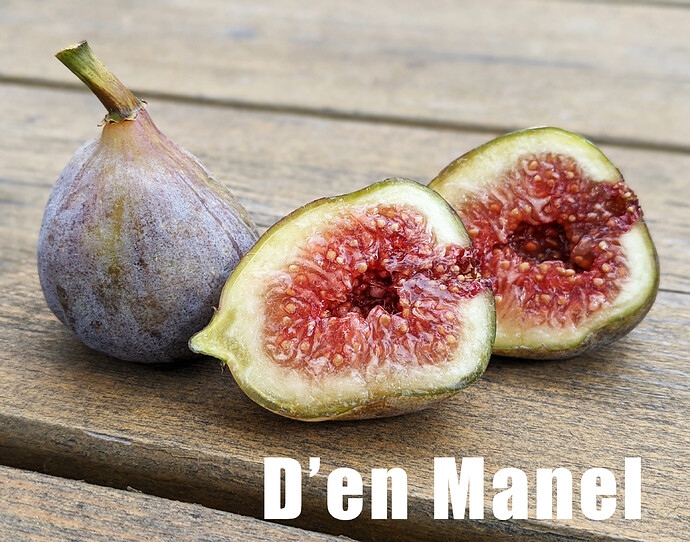 Den Manel