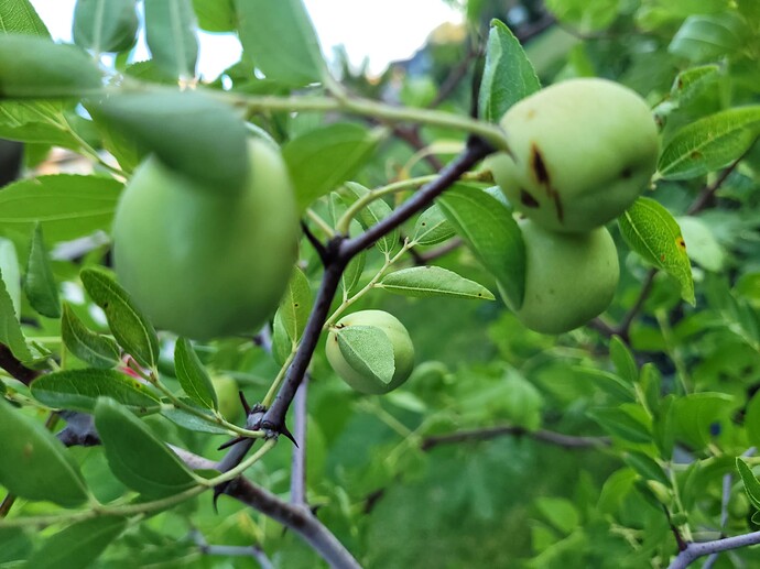 16601323963678502669509927937240