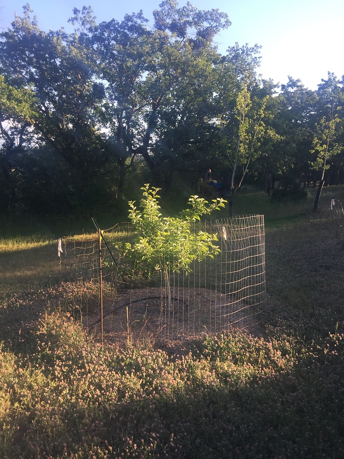 038BAA9A-A057-48DC-A1E6-C3BC28989F04