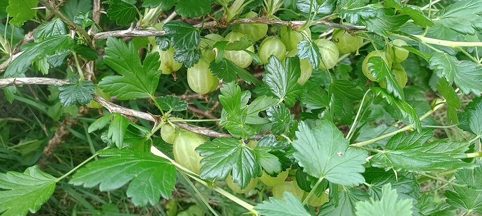 IMG_20250528_110104995_HDR