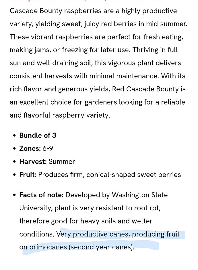 Screenshot_20250102_140050_Chrome