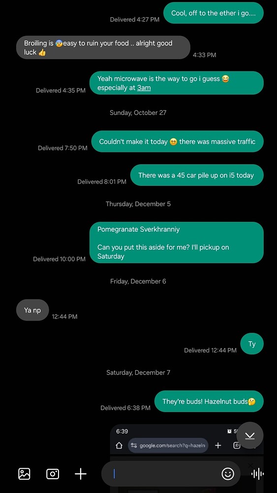 Screenshot_20241221_100449_Messages