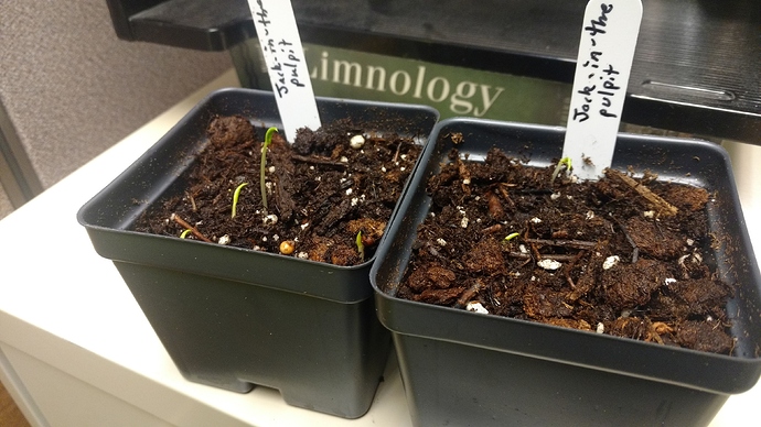 IMG_20191230_095308835