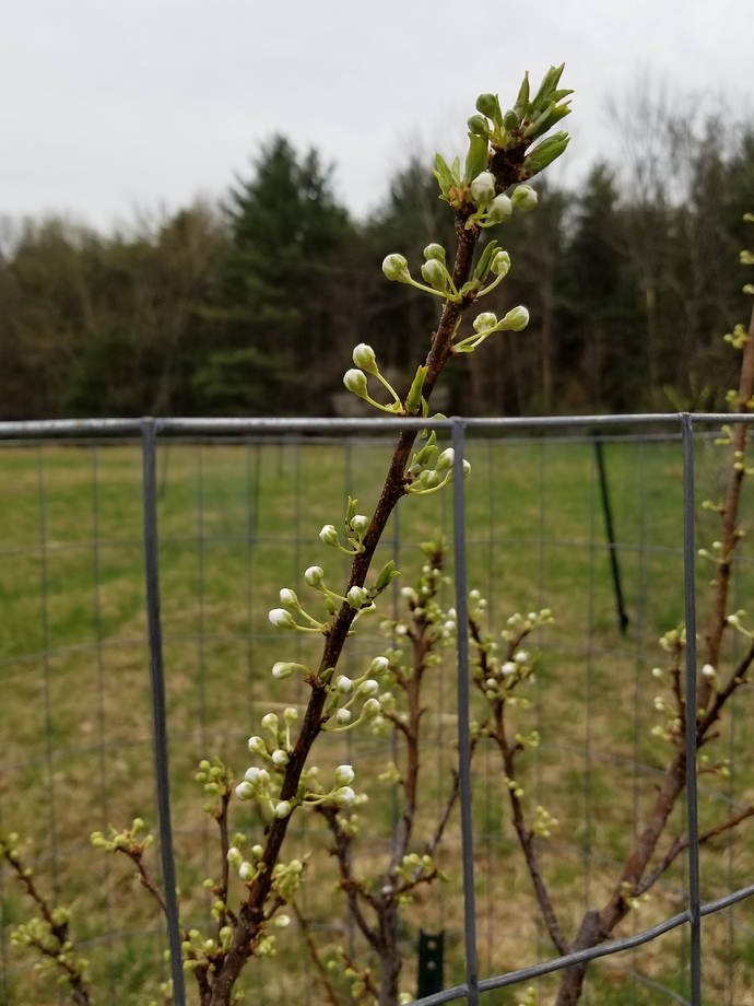 20190425_162224
