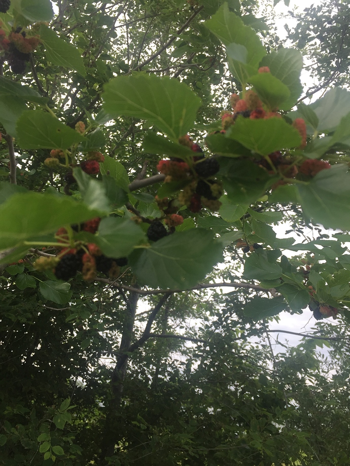 94295BDC-00B4-497E-BA3B-04538E84037A