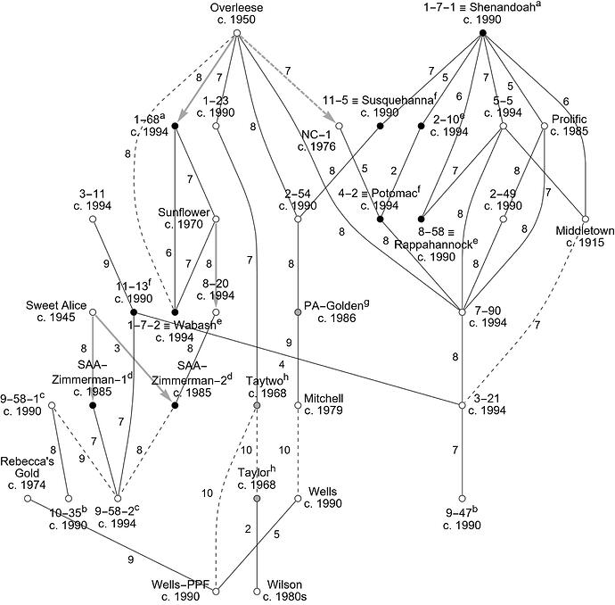 Annotated LGB - grayscale