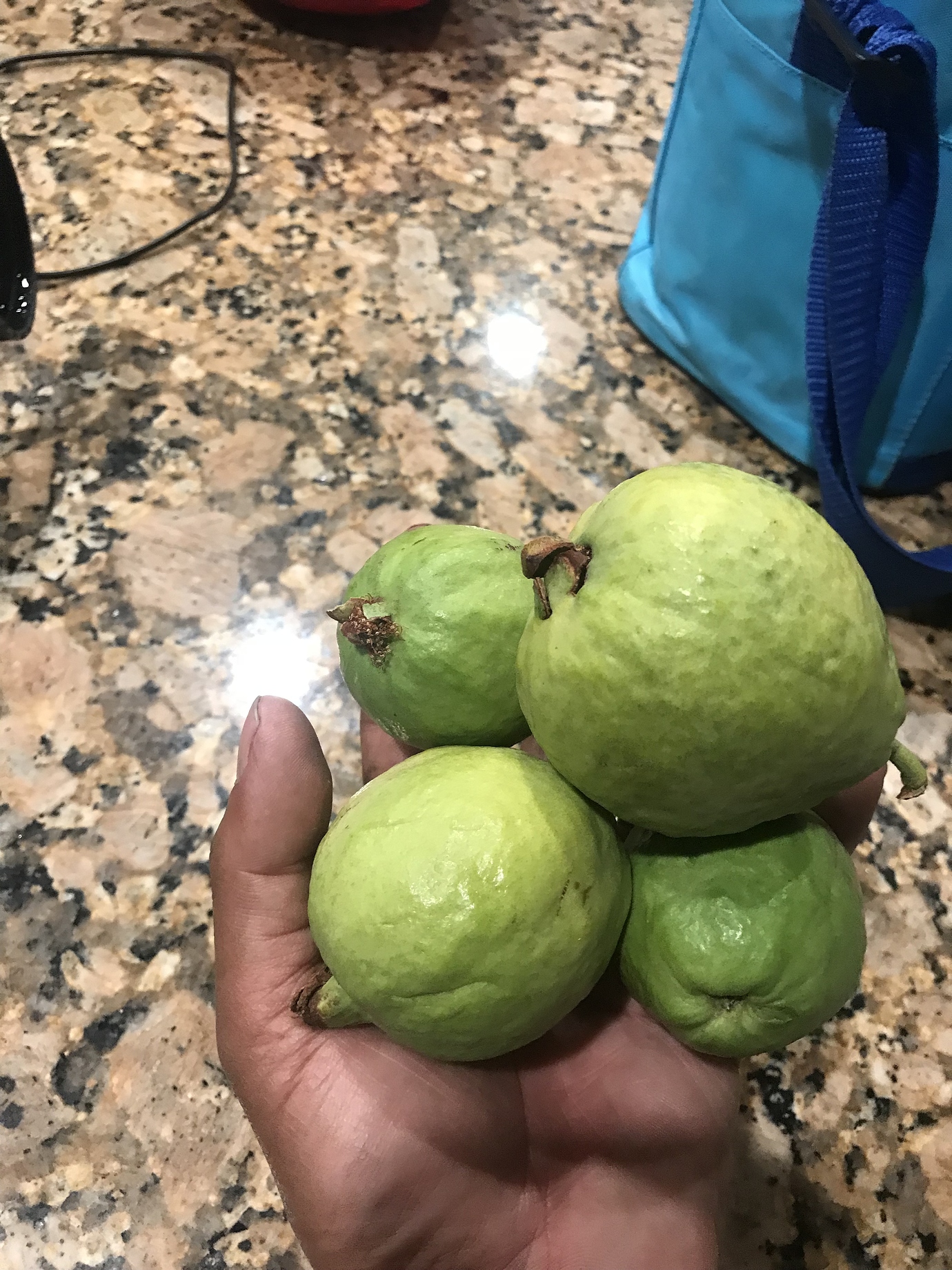 Tropical Pink Guava vs Pineapple Guavas General Fruit Growing