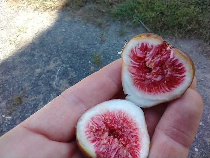 IMG_20200920_152443604