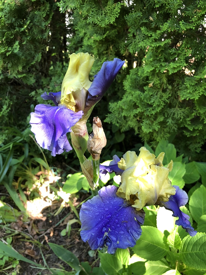 EDA4A93F-CBF9-4E27-B4E9-DB4C3344ACA3