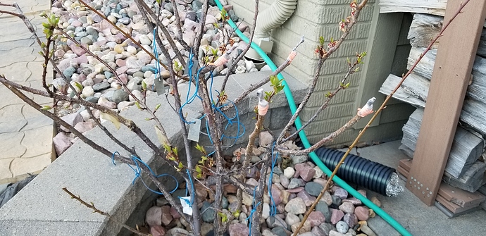 15874279309494887813991358656984