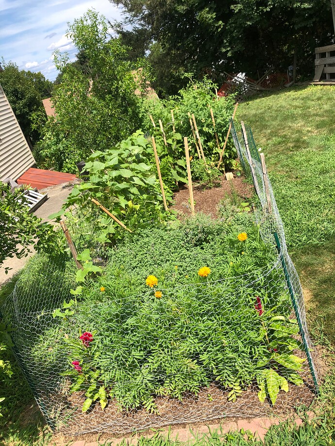 Tenant_Garden_r_08-14-2022