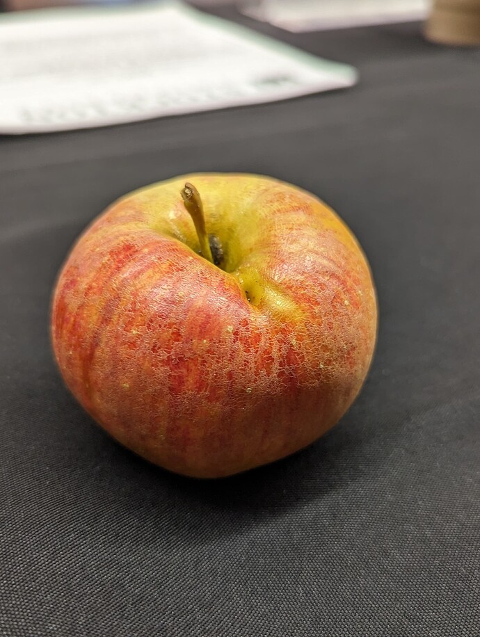 Chestnut Crab Fruit 1