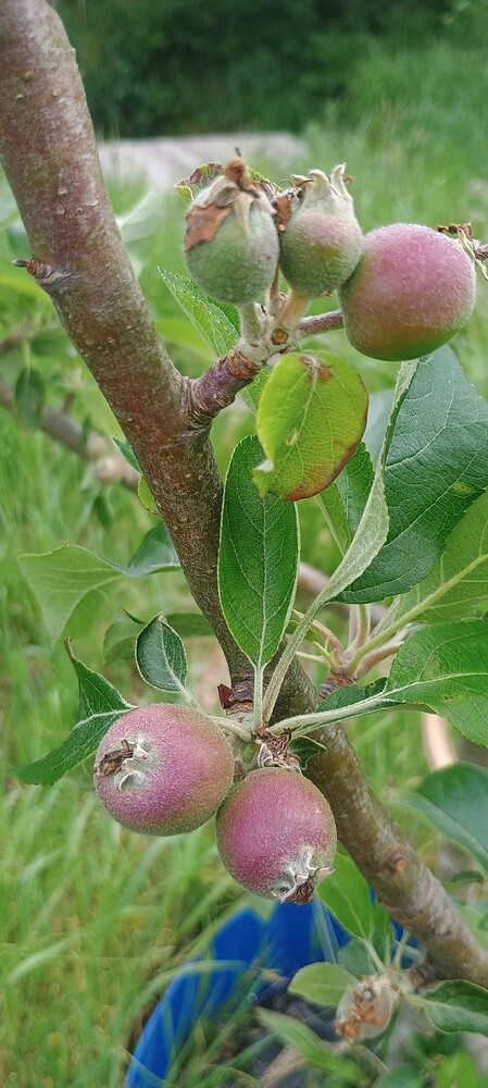 IMG_20250528_105750533