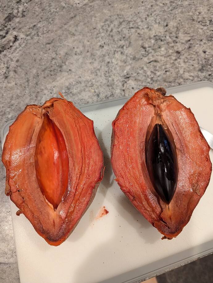 PXL_20250530_001115097