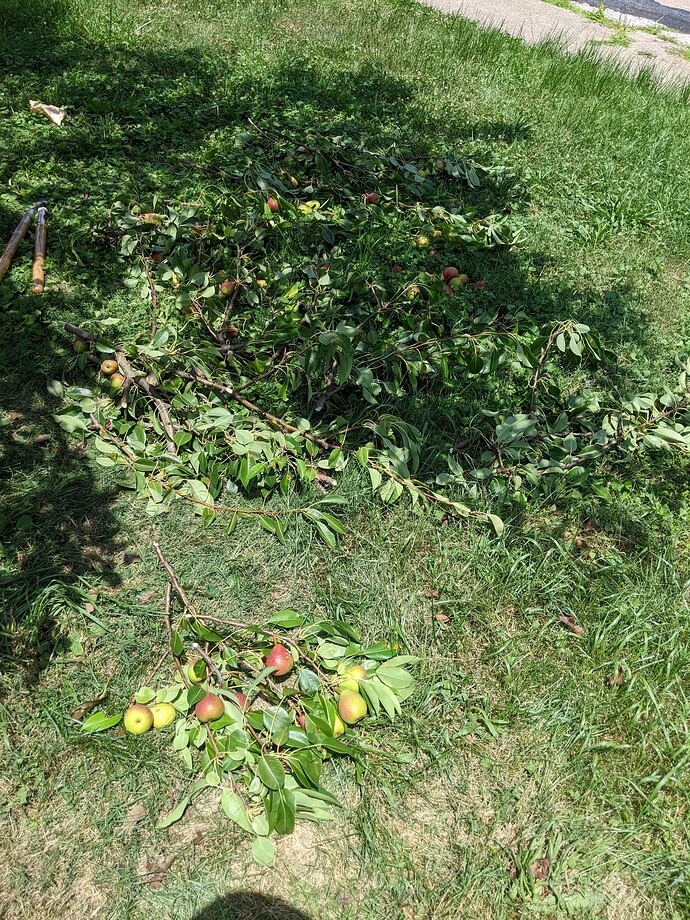 PXL_20220724_165010928.MP