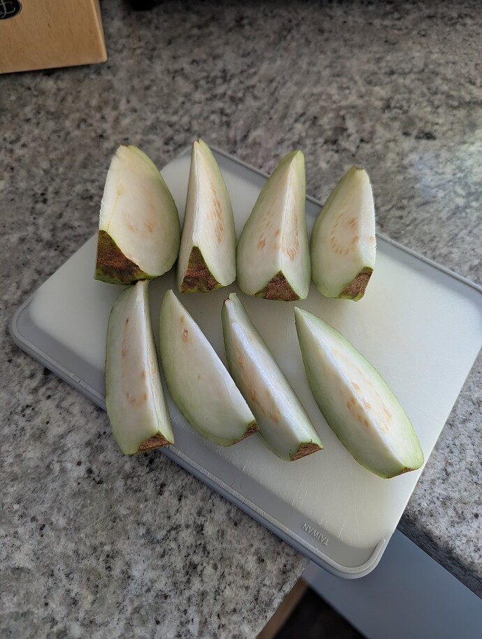 PXL_20250523_122230587