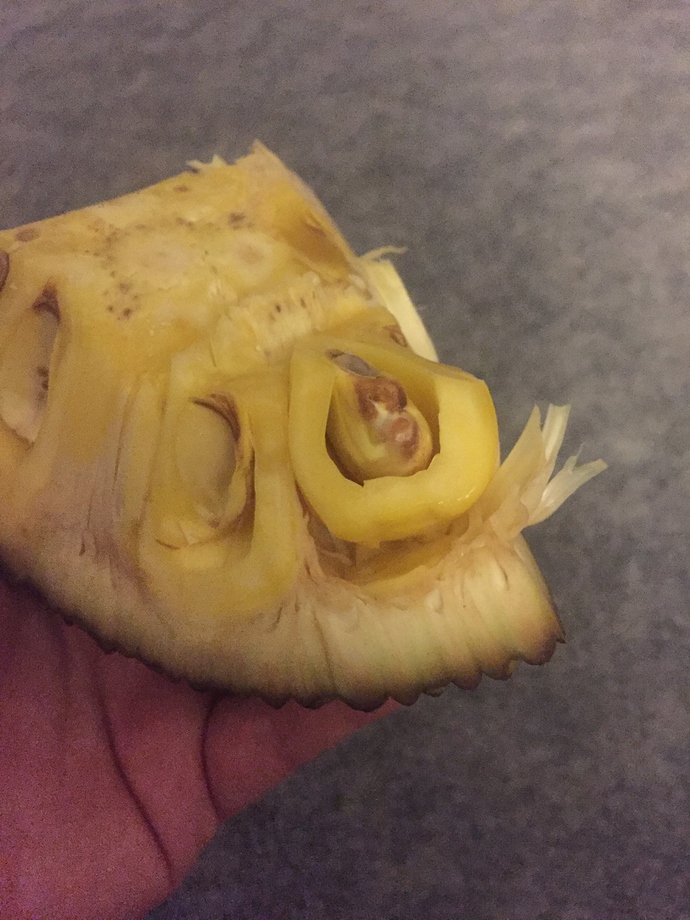 9C36500F-7F28-4424-A0AE-DD53A6C0BCA7