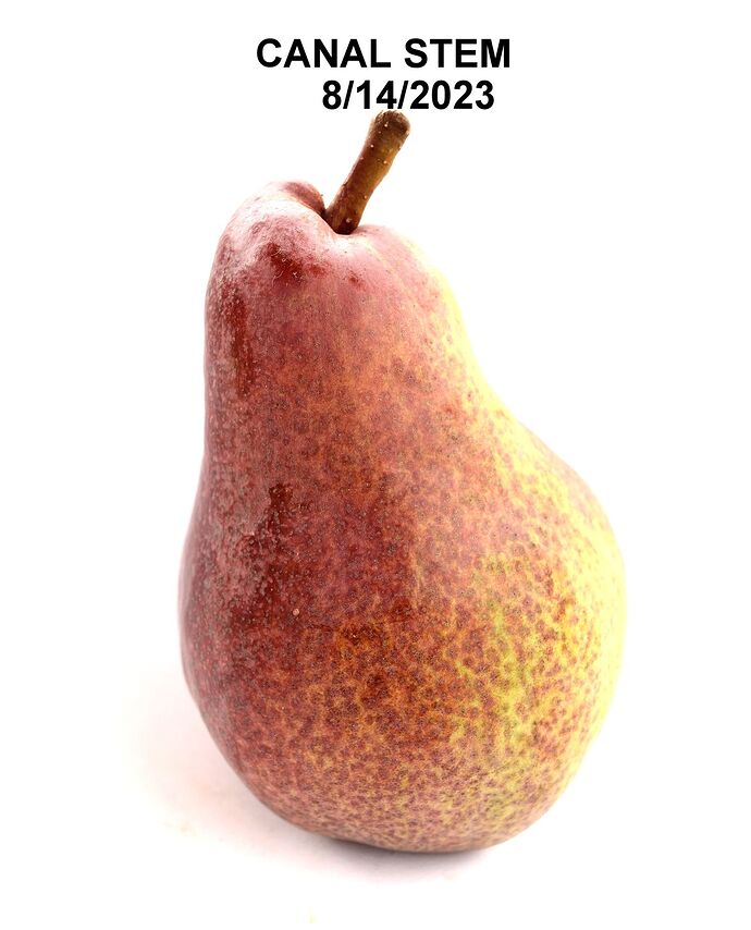 CANAL_STEM8_001DSCrs_0026