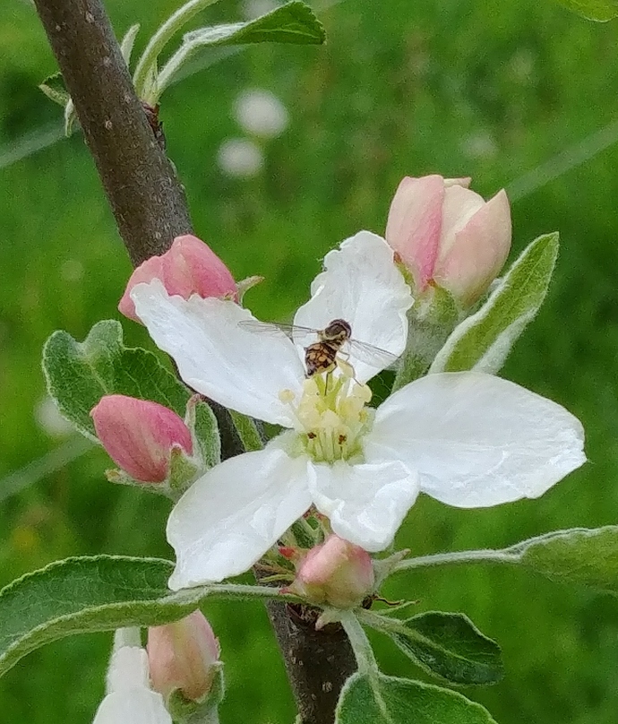 20180507_170629