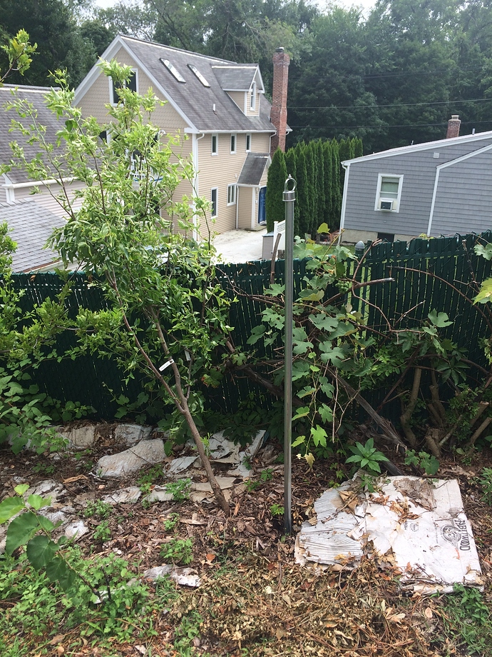 Sherwood_Leaning_07-22-2018