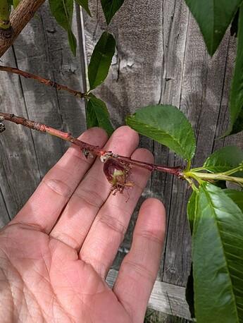 PXL_20250515_201221526